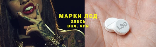 эйфоретик Аркадак
