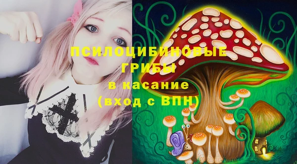 эйфоретик Аркадак
