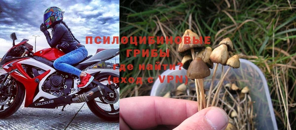эйфоретик Аркадак