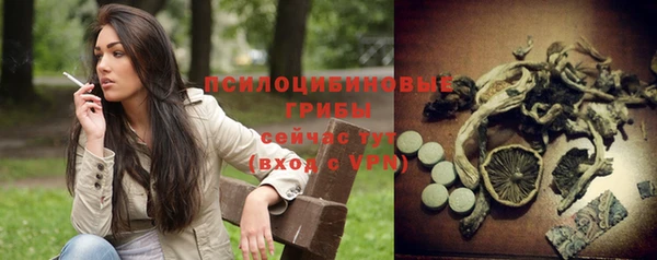 эйфоретик Аркадак